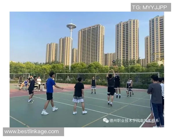 深圳排球队战术解析：从技术细节到团队协作的全方位探讨